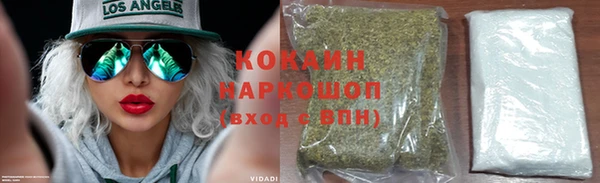 гашик Михайловка