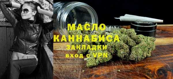 твердый Михайлов