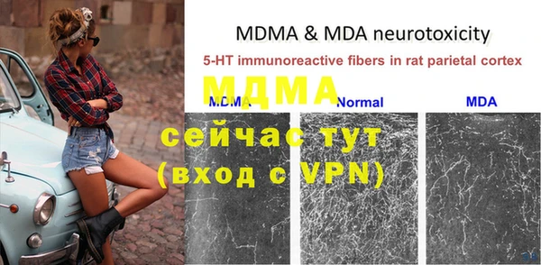 твердый Михайлов