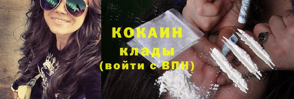 твердый Михайлов