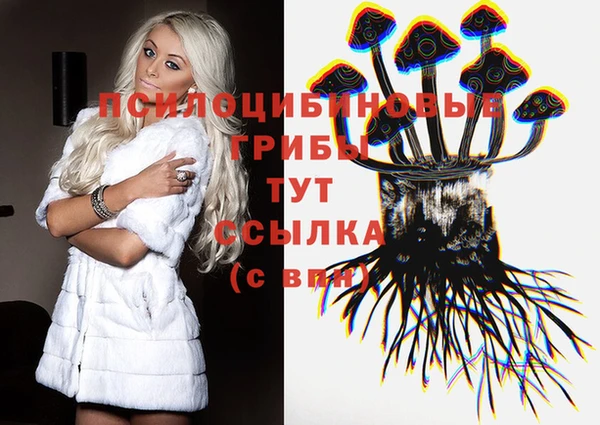 твердый Михайлов