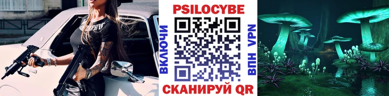 Псилоцибиновые грибы мицелий  Купить  Заводоуковск 